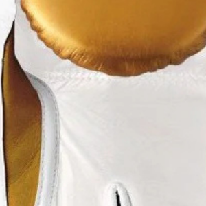 Gants de boxe professionnels en cuir blanc or argent Velcro Poignet Entraînement Sparring Gants pour hommes et femmes - Product Image 5