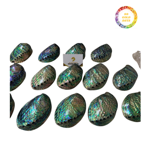 เปลือกหอยผ้าโพกหัวสีเขียวธรรมชาติพร้อมการตกแต่งภายในแม่ของไข่มุกสำหรับใช้ในการตกแต่งงานฝีมือเรซิ่นการออกแบบตกแต่งภายในธีมชายฝั่ง - Product Image 4