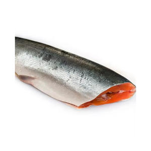 Vente en gros de saumon de qualité supérieure, prêt pour l'exportation - Product Image 5