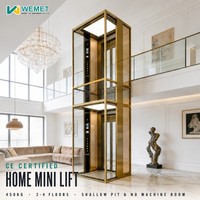 CE Ev Tipi Mini Asansör 2 3 4 Katlı 450KG İç Mekan Dış Mekan Konut Villası Asansörü Küçük Ev Asansörü Modern Tasarım