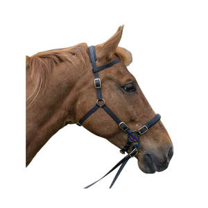 Juego de bridas de doma ecuestre de carreras duraderas con banda para las cejas, cuerda de nailon para la cabeza hecha de material de cuero de PVC - Product Image 5