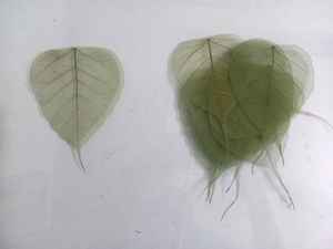 Feuilles de Squelette Décoratives d'Halloween Naturel Biodégradable Écologique Artisanat DIY Art Projets et Fleurs Décoratives - Product Image 5