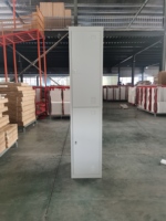 Armoire de rangement en acier pour bureau à 2 portes avec serrure à clé, meuble assemblé, casier