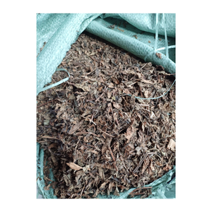 Ingrédient de gelée d'herbe du Vietnam Mesona Chinensis séché avec feuille d'herbe noire utilisé dans les recettes traditionnelles de refroidissement à base de plantes - Product Image 6