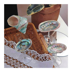 Copa de caracol con diseño contemporáneo y durabilidad superior, perfecta para un hogar elegante y entornos de hospitalidad - Product Image 6