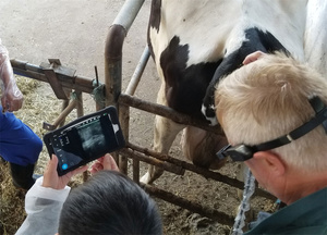 Meilleur prix sonde à ultrasons vétérinaire <span class=keywords><strong>sans</strong></span> <span class=keywords><strong>fil</strong></span> <span class=keywords><strong>portable</strong></span> Wifi prix du système à ultrasons doppler couleur vétérinaire <span class=keywords><strong>portable</strong></span> - Product Image 3