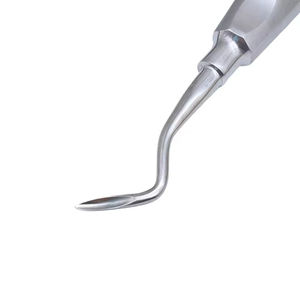 Elevador más barato Raíz dental Elevador recto y curvo Elevadores de raíz de Cirugía Dental de acero inoxidable de alta calidad - Product Image 5