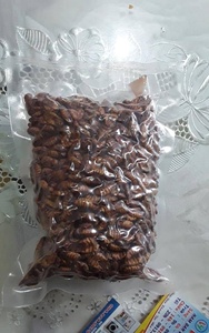 ENTREGA RÁPIDA PUPAE DE GUSANO SECO PARA MASCOTA - Product Image 2