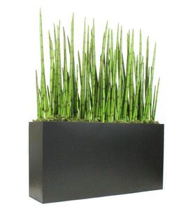 Maceta decorativa de latón con caja de ventana, soporte para macetas de interior, soporte para maceta de aplicación de jardín - Product Image 4