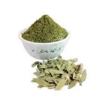 Wholesale Natural Senna Leaf Extract Sennosides 10% 20% Senna Leaf Extract Powder Senna Extract