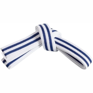 Vente en gros de ceinture de karaté imprimée personnalisée de qualité professionnelle bon marché nouveau type d'équipement d'arts martiaux - Product Image 3