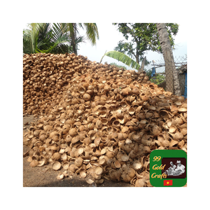 Fourniture de coquilles de noix de coco de qualité de l'usine pour les créations artisanales de charbon de bois et la décoration de jardin à la maison disponible pour les commandes en gros - Product Image 3