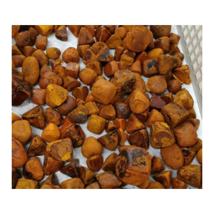 High Quality Dried Cow <strong>Ox</strong> Gallstones Premium Animal Extract Cattle Gallstones - Product Image 4