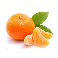 Buah Jeruk Segar-Valencia/Pusar Jeruk, Jeruk Nipis/Lemon, Jeruk Mandarin,