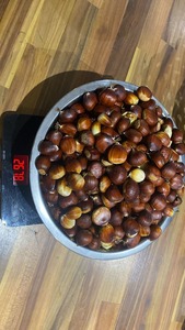 Castañas crudas disponibles a precios bajos al por mayor, ideales para distribuidores y proveedores de alimentos orgánicos en venta - Product Image 5