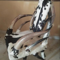 CRAFTS GALORE Chaise en corne de bœuf rustique Viking Valor - Matériel écologique et biologique, forme naturelle, style animalier poli, décoration intérieure