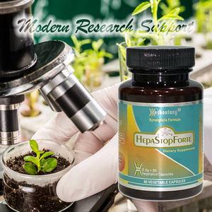 HepaStopForte Natural 60 Cápsulas Vegetales 12 Años Comercializado Antioxidante para Adultos - Product Image 4