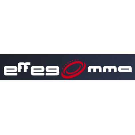 EFFEGOMMA S.R.L. logo