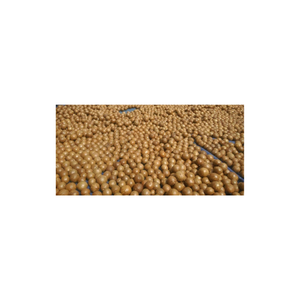 99GD Les noix de macadamia sont une excellente source de protéines à base de plantes pour les végétariens et les végétaliens - Product Image 3