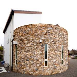 Revêtement mural en pierre naturelle texturée durable et décorative de qualité supérieure Bois pétrifié - Product Image 5