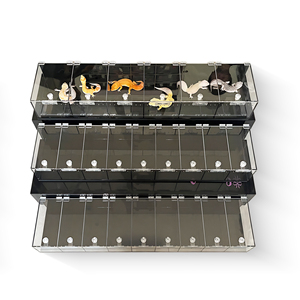 Bán buôn thiết kế mới mô hình rắn bò sát bao vây hiển thị trường hợp rắn Gecko EXPO Pet hiển thị trường hợp của các nhà sản xuất và Nhà cung cấp - Product Image 1