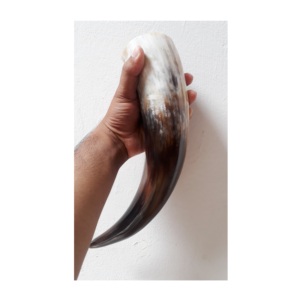 Antique Buffalo Viking Drinking Horn Modern <b>Cheap</b> Price Tableware Decorative Beer Tankard Viking Drinking Horn - Product Image 3