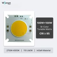 Module LED COB bicolore 100W+100W 40x40mm 28-32V 2700K-6500K CRI95 avec NTC intégré pour éclairage de studio