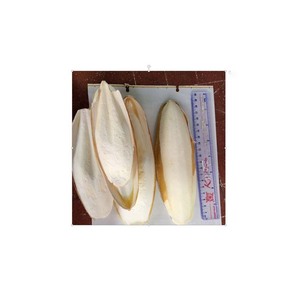 กระดูกปลาหมึกสำหรับสุขภาพนกที่ไว้ใจได้ - Product Image 2