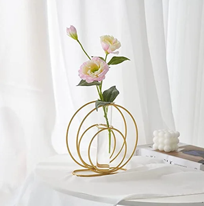 Diseño atractivo, venta al por mayor, florero de Metal con maceta de vidrio disponible en diferentes tamaños, y el jardín decoración del hogar, artículo personalizado - Product Image 2