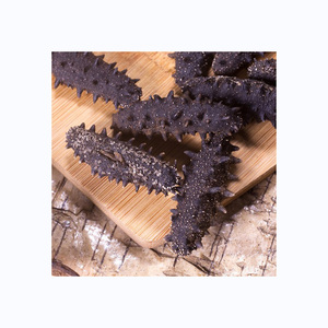 Concombre de mer congelé de haute qualité meilleur prix pour le concombre de mer sec dans un emballage en vrac - Product Image 5