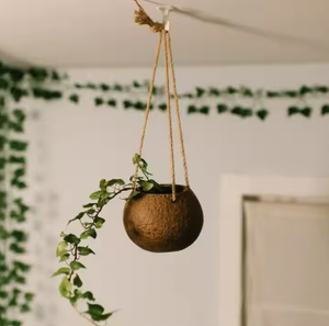 Handcrafted Decorative <b>Vase</b> with Coconut Shell Stem Eco Friendly Natural Home Decor Sustainable Handmade Interior Decoration - Product Image 2