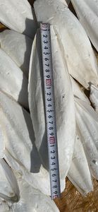 ปลาหมึกทรงรีตัดแต่ง odm/oem สำหรับนกเวียดนาม - Product Image 3