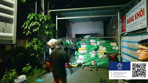 Bâton de balai à noix de coco de HAUTE QUALITÉ Bâton robuste pour la production de balais fournissant un nettoyage fiable Usage ménager quotidien Vietnam - Product Image 4