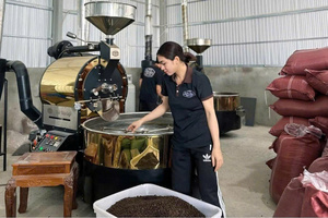 Granos de café verde Robusta de Vietnam, cuerpo fuerte de alta calidad, alta cafeína, granja directa a granel - Product Image 6