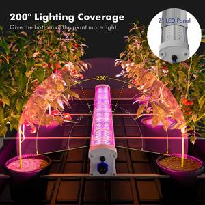 ไฟปลูกพืชแบบ <span class=keywords><strong>LED</strong></span> ใต้หลังคา 120W 240W 360W 1/2/3Bar ประสิทธิภาพสูง PPE 3.µmol/j สเปกตรัมสีแดงเข้ม พร้อมแหล่งจ่ายไฟ IP65 สำหรับพืช - Product Image 5