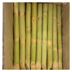 Caña de azúcar congelada con sabor natural dulce de 99GD Vietnam Caña de azúcar congelada para barras de jugo y pedidos de exportación listos para enviar - Product Image 2