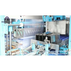 Planta de agua mineral automática 2000BPH 1 año de garantía para bebidas, jugo, cerveza líquida, embalaje, núcleo de engranaje de vidrio plástico PET 220V - Product Image 3