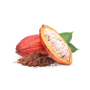 Acheter Fèves de cacao de Côte d'Ivoire, Fève de cacao séchée au soleil fermentée pure et naturelle