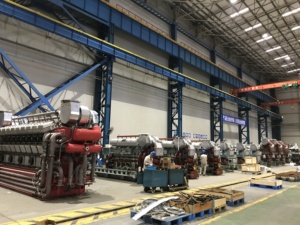 Composants marins résistants de fonte de fer pour des systèmes de propulsion de moteurs - Product Image 2