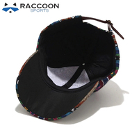Gorras de Béisbol Deportivas Raccoon OEM con Logotipo Personalizado, Transpirables, Impermeables, 100% Algodón, Multipanel, Rayadas, de Alta Calidad, para Actividades al Aire Libre