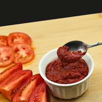 Purée de tomate concentrée évaporée filtrée 100% naturelle de haute qualité et délicieuse, 28 Brix, double polyliner, fût en acier Hunza 1
