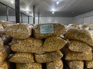 ขนุนแห้งแช่แข็ง - Product Image 2