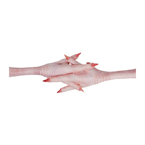 Patas de pollo congeladas Halal con mejores ventas a buen precio patas de pollo congeladas para exportación a la venta - Product Image 3