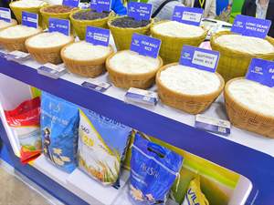 ข้าวหอมมะลิเกรดพรีเมี่ยมเพิ่มขึ้นขอบยาวดอกมะลิ | บรรจุ1-50kgs ถุง | ขายส่งและขายปลีก | ปริมาณมาก (Joice) - Product Image 3