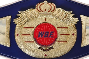 Símbolo de Victoria y excelencia definitivo Cinturones de campeonato de boxeo Trofeos Medallas Premios de accesorios de moda - Product Image 5