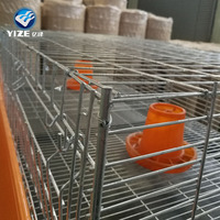 Cage à Poulets de Chair, Fabrication d'Usine Chinoise, à Vendre