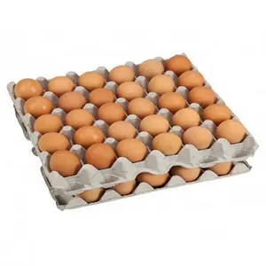 Brown and White Table Fresh Chicken Eggs and Ducks Eggs Wholesale Price