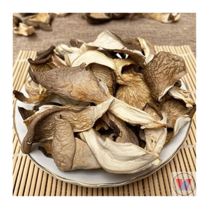 Champignon d'huître séché biologique 100% naturel fabriqué au Vietnam - Product Image 1