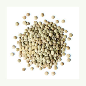 ถั่วเขียวขายได้ที่นี่ - Product Image 5