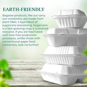 Conteneur compostable biodégradable jetable durable de nourriture de restaurant de canne à sucre 9x6 pouces récipient de plat de bagasse à emporter - Product Image 3